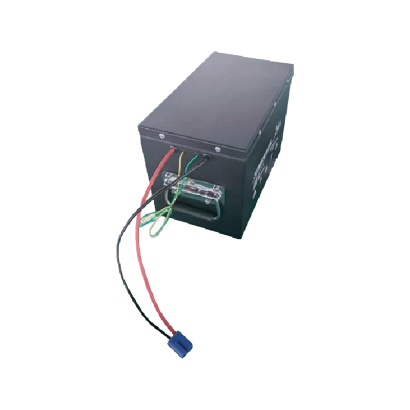 비상 시스템 배터리