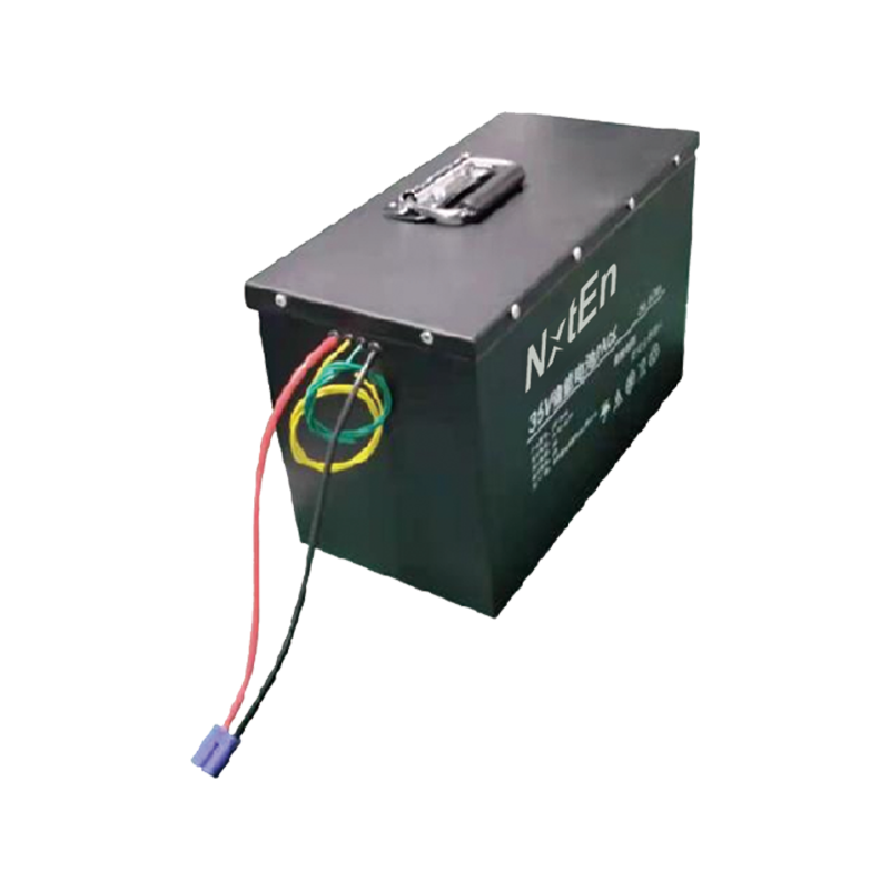 비상 시스템 배터리