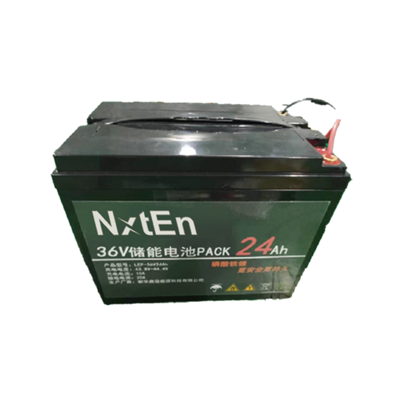 비상 시스템 배터리